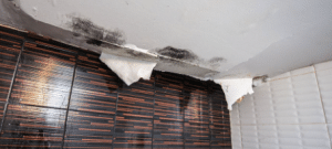 Ways For Preventing Leak Damage Due To Leaking Ceiling Mission Hills San Diego