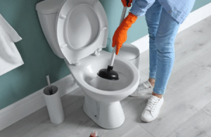 Things That Can Cause A Clogged Toilet Mission Hills San Diego