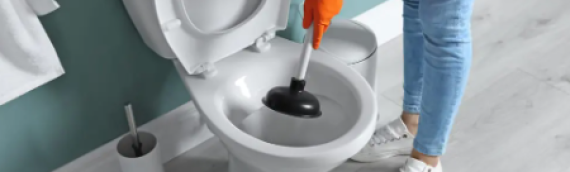 ▷Things That Can Cause A Clogged Toilet Mission Hills San Diego